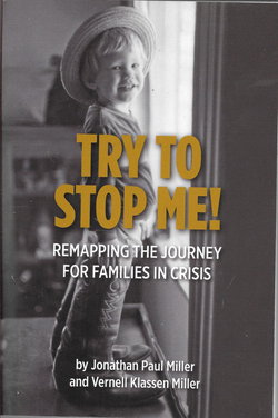 Image of Try to Stop Me -Remapping the Journey for Families in Crisis