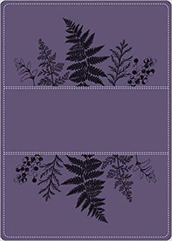 Image of NLT -A Young Woman After God’s Own Heart Bible -Deluxe Edition