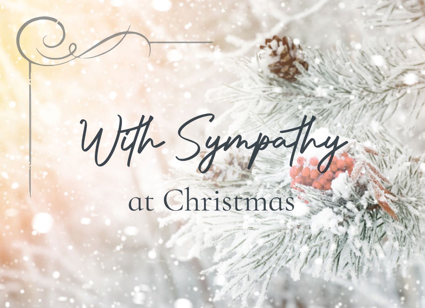 120-0020 Product Image 2