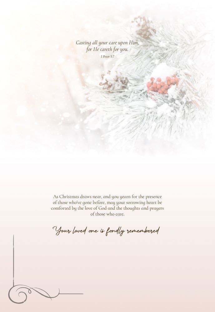 120-0020 Product Image 3