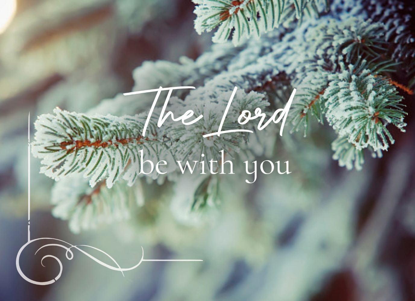 120-0020 Product Image 4