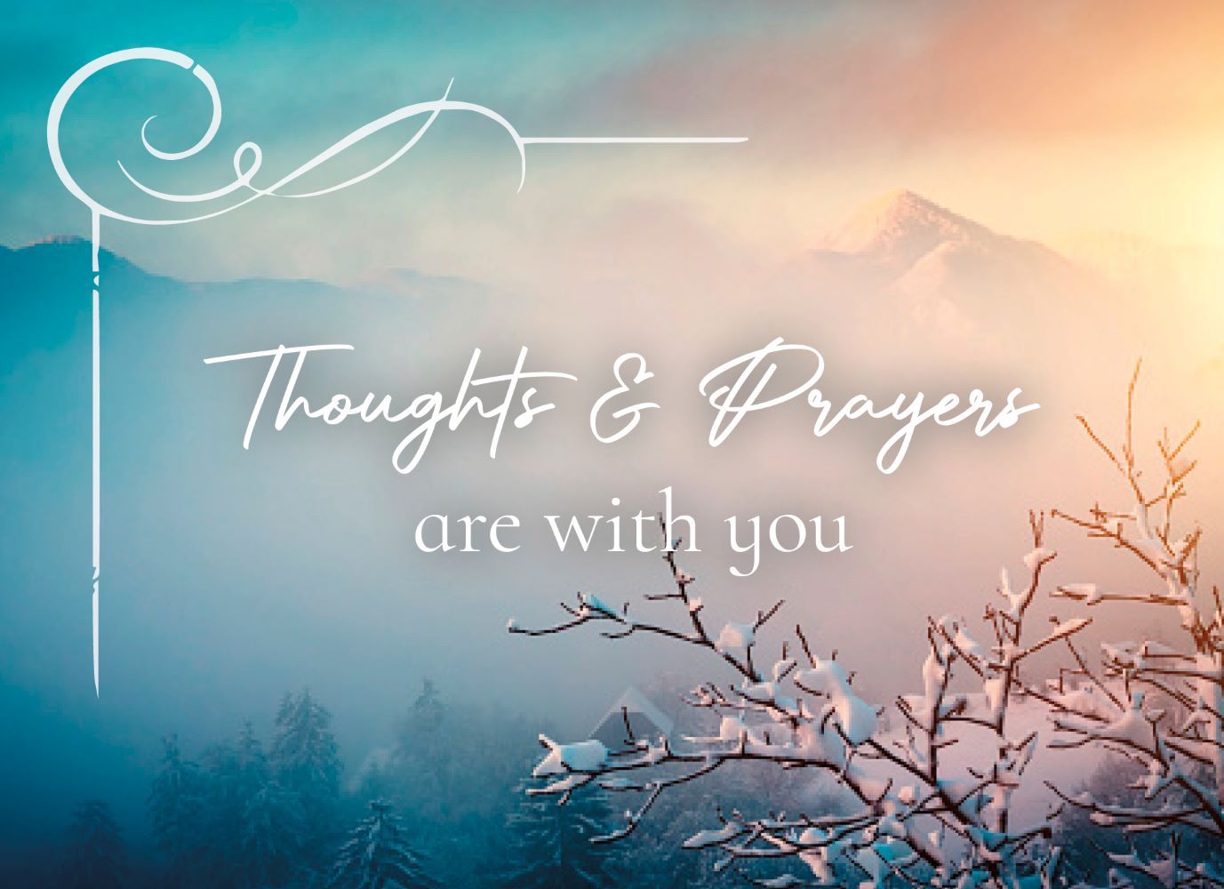 120-0020 Product Image 6