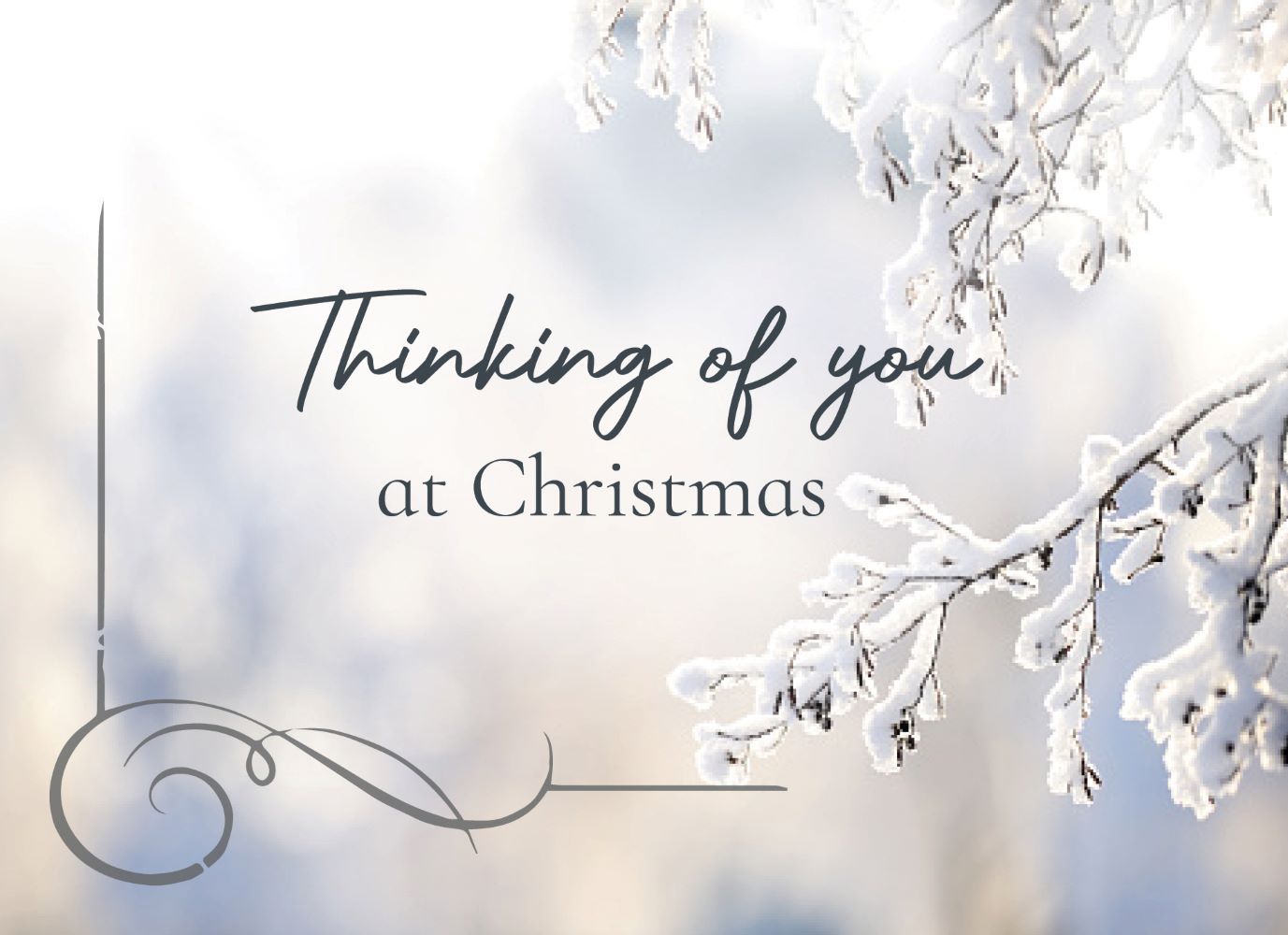 120-0020 Product Image 8