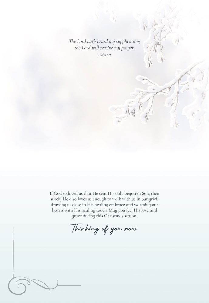 120-0020 Product Image 9