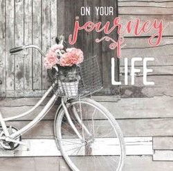 Image of Card Individual Journey of Life Psalm 119:2