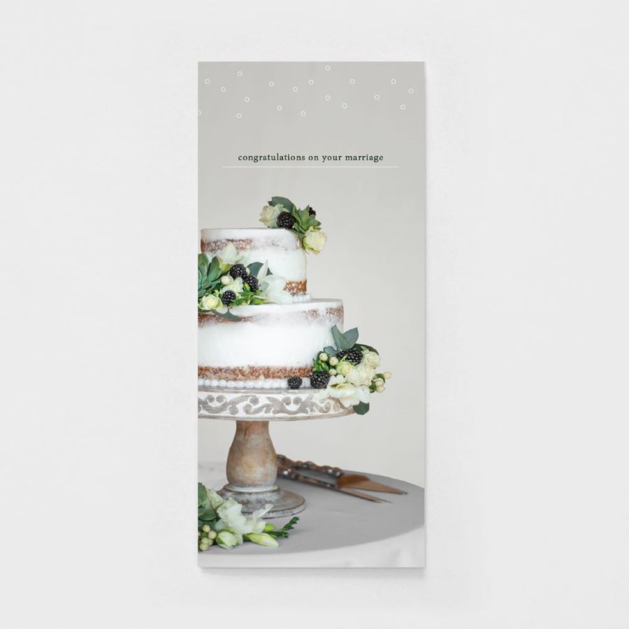 120-0109 Product Image 5