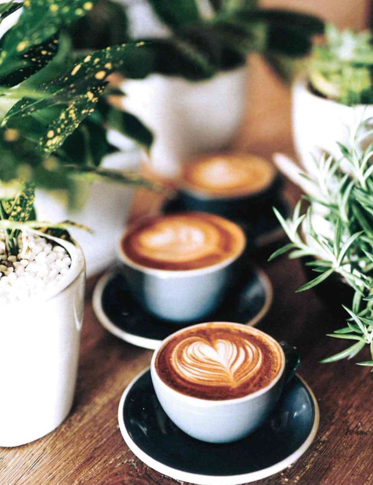 120-0111 Product Image 2