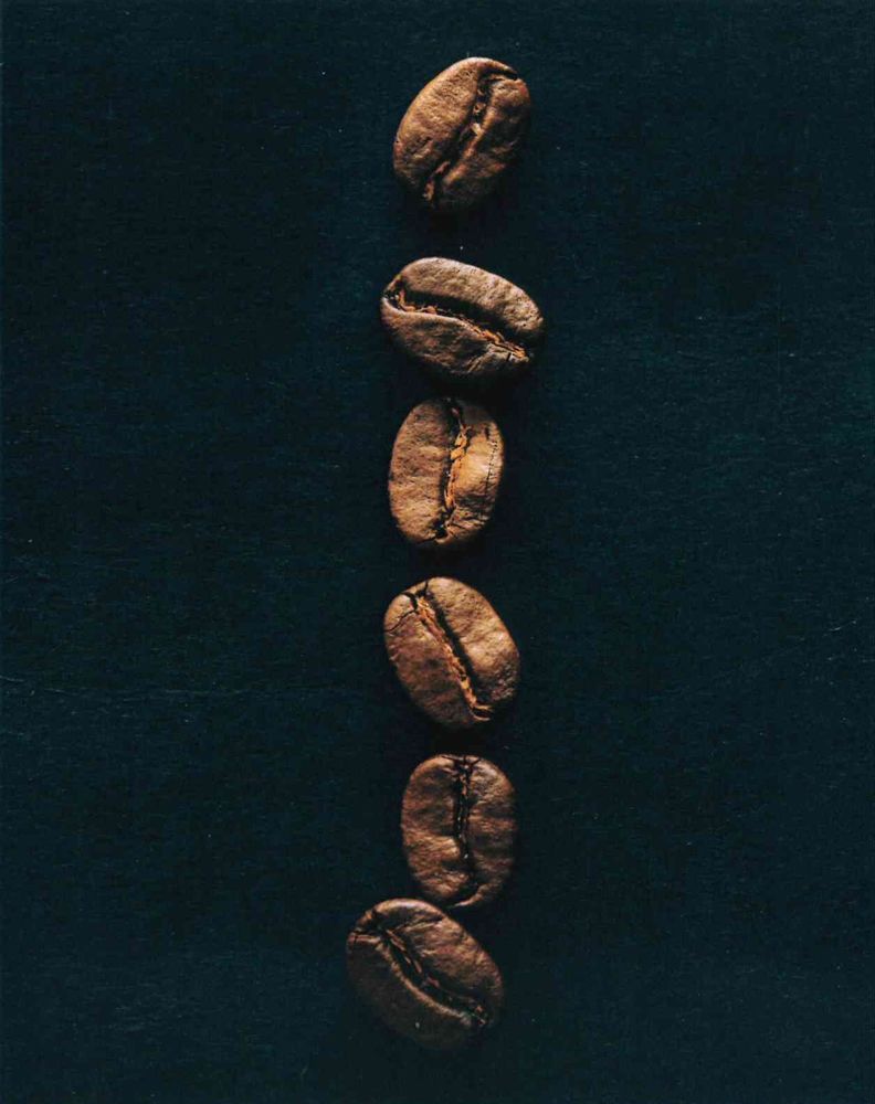 120-0111 Product Image 6