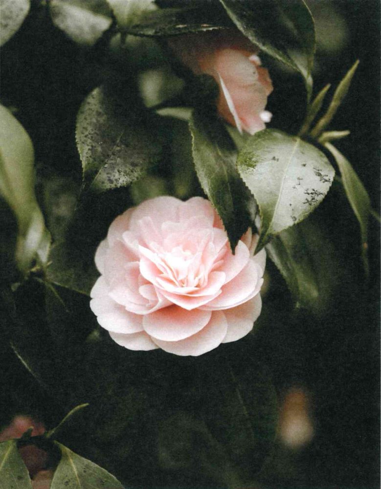 120-0112 Product Image 2