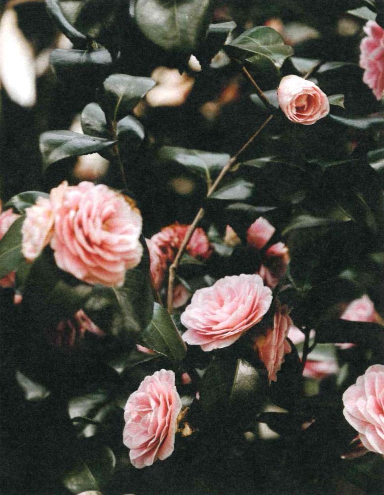 120-0112 Product Image 4