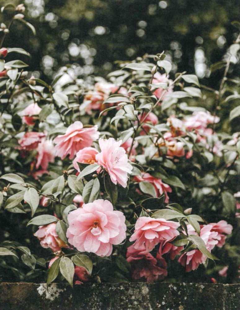 120-0112 Product Image 5