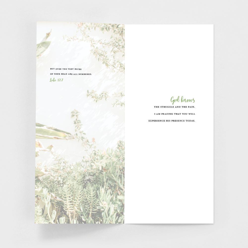 120-0148 Product Image 10