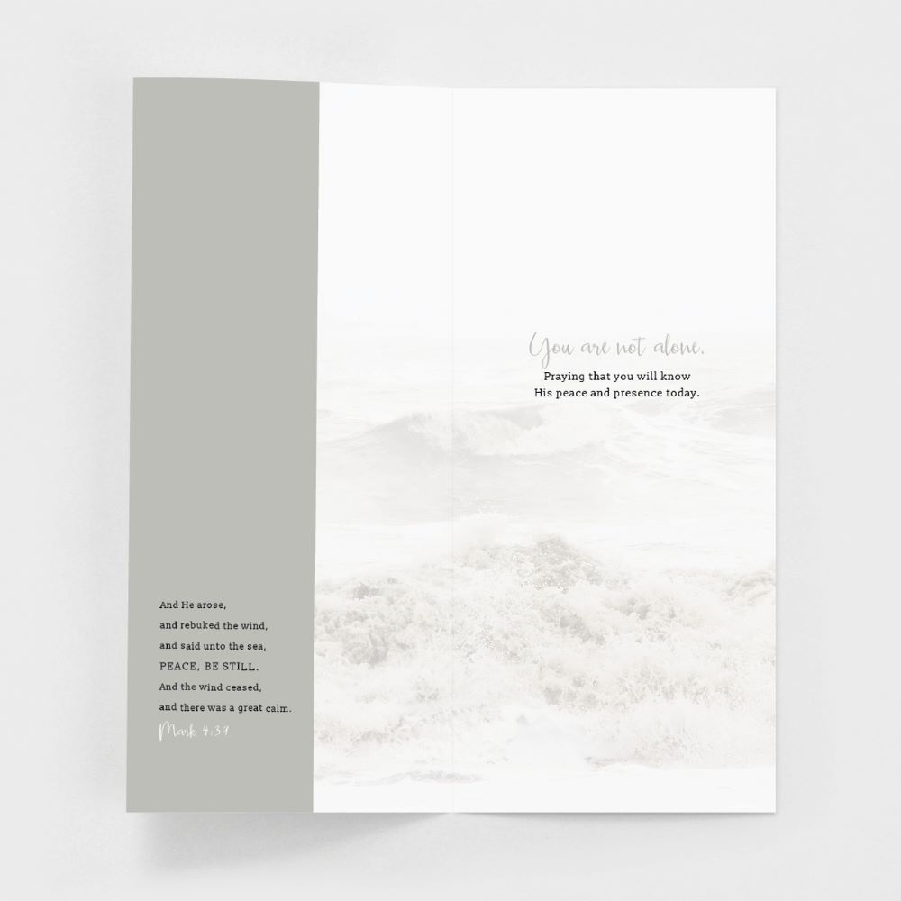 120-0148 Product Image 8