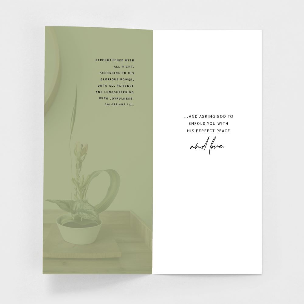 120-0150 Product Image 8