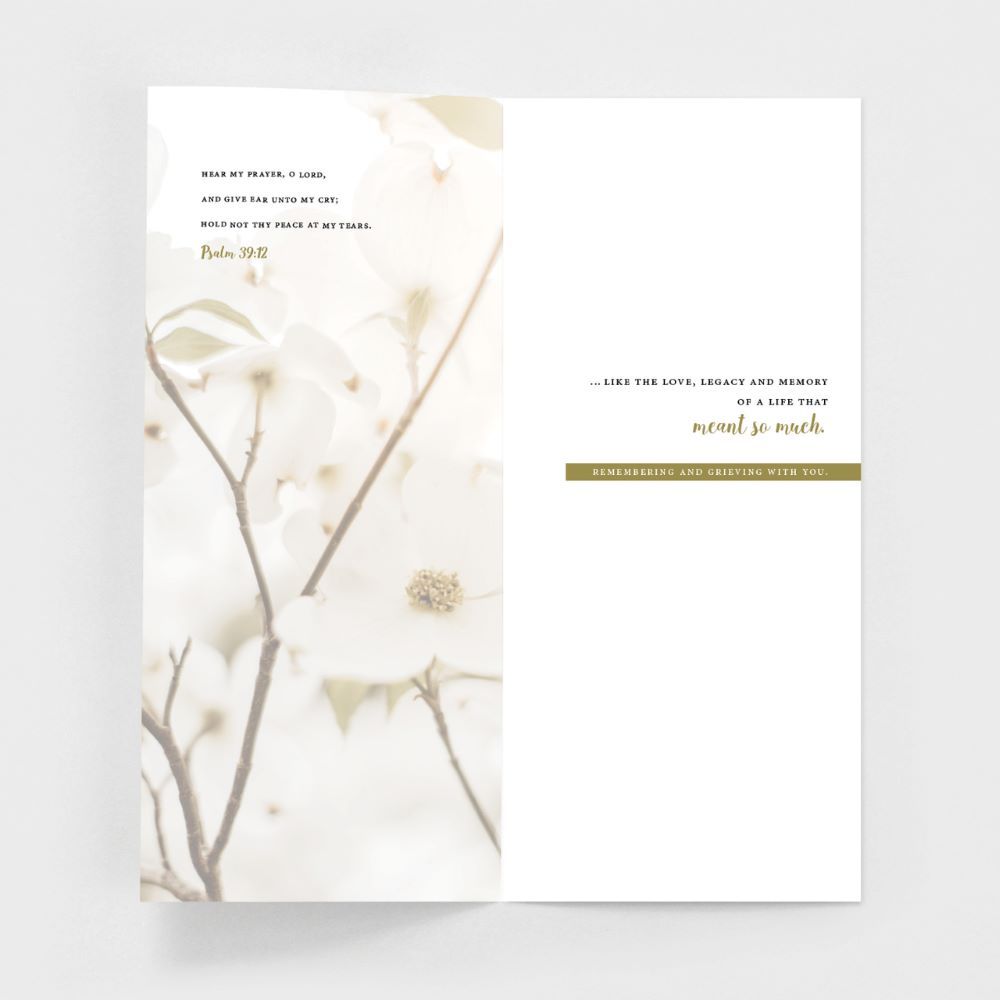 120-0152 Product Image 4