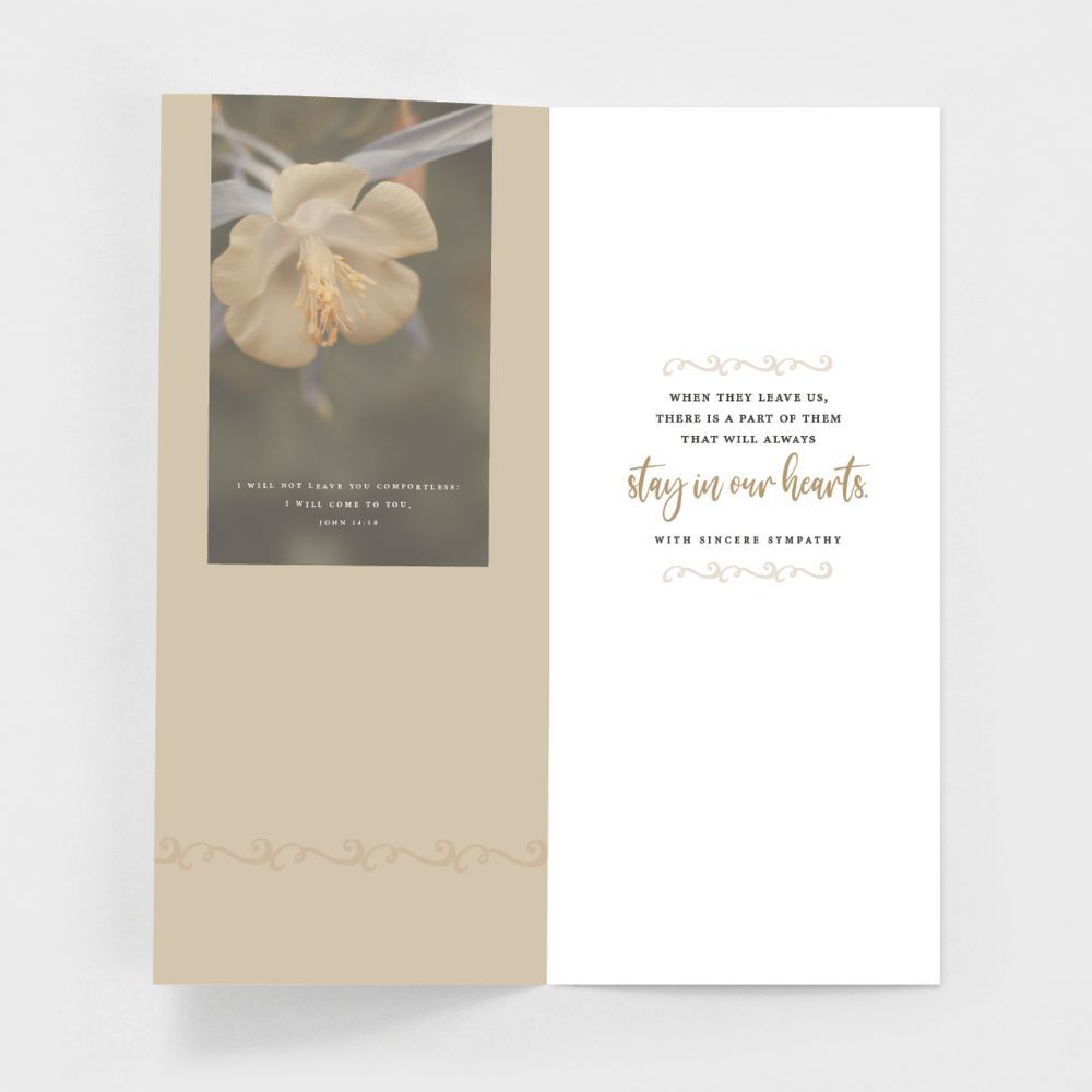 120-0152 Product Image 6