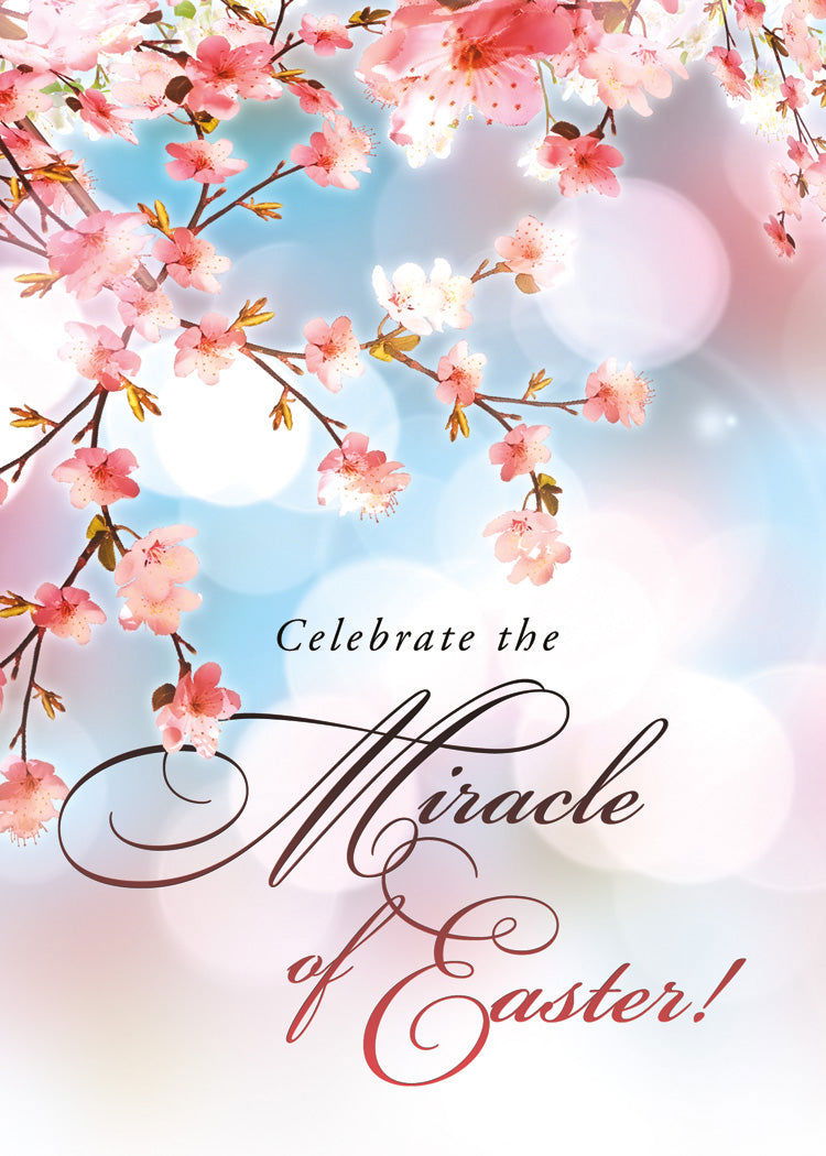 120-0167 Product Image 2