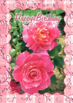 Image of Birthday Cards Birthday Beauty