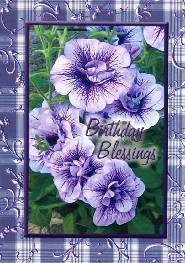 120-0184 Product Image 3