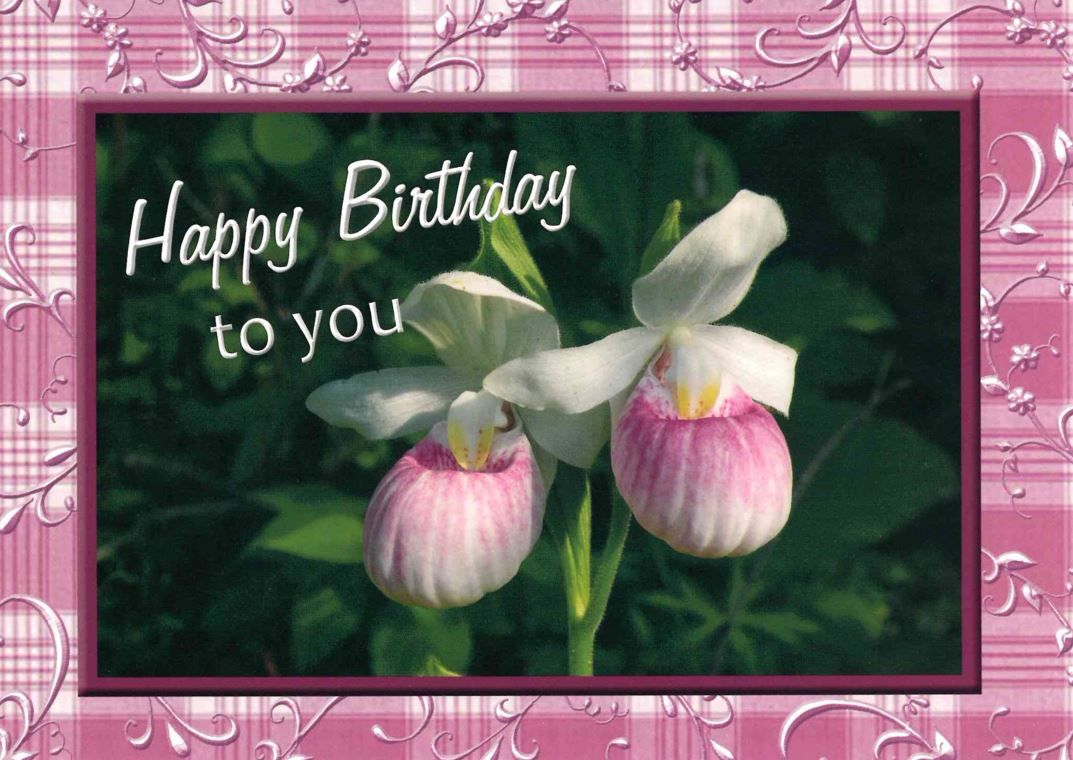 120-0184 Product Image 4