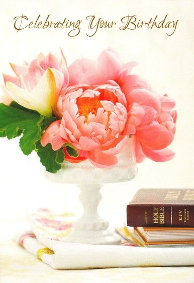 120-0234 Product Image 4