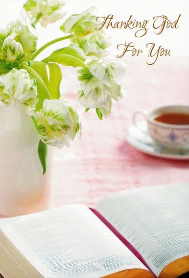 120-0234 Product Image 5