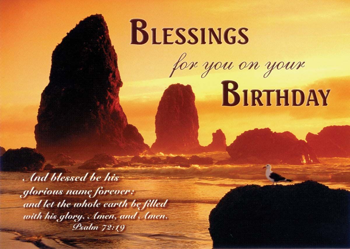 120-0466 Product Image 2