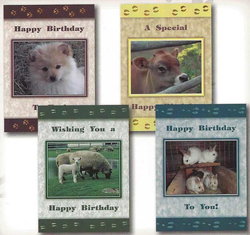 Image of Cards Birthday Farm Friends