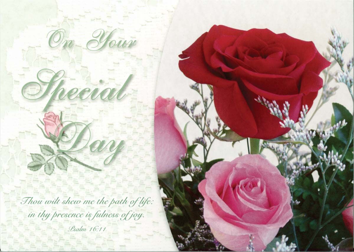 120-0516 Product Image 5