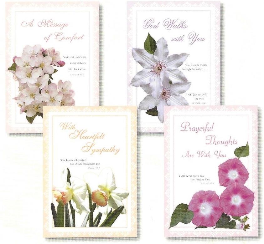 120-0561 Product Image 1