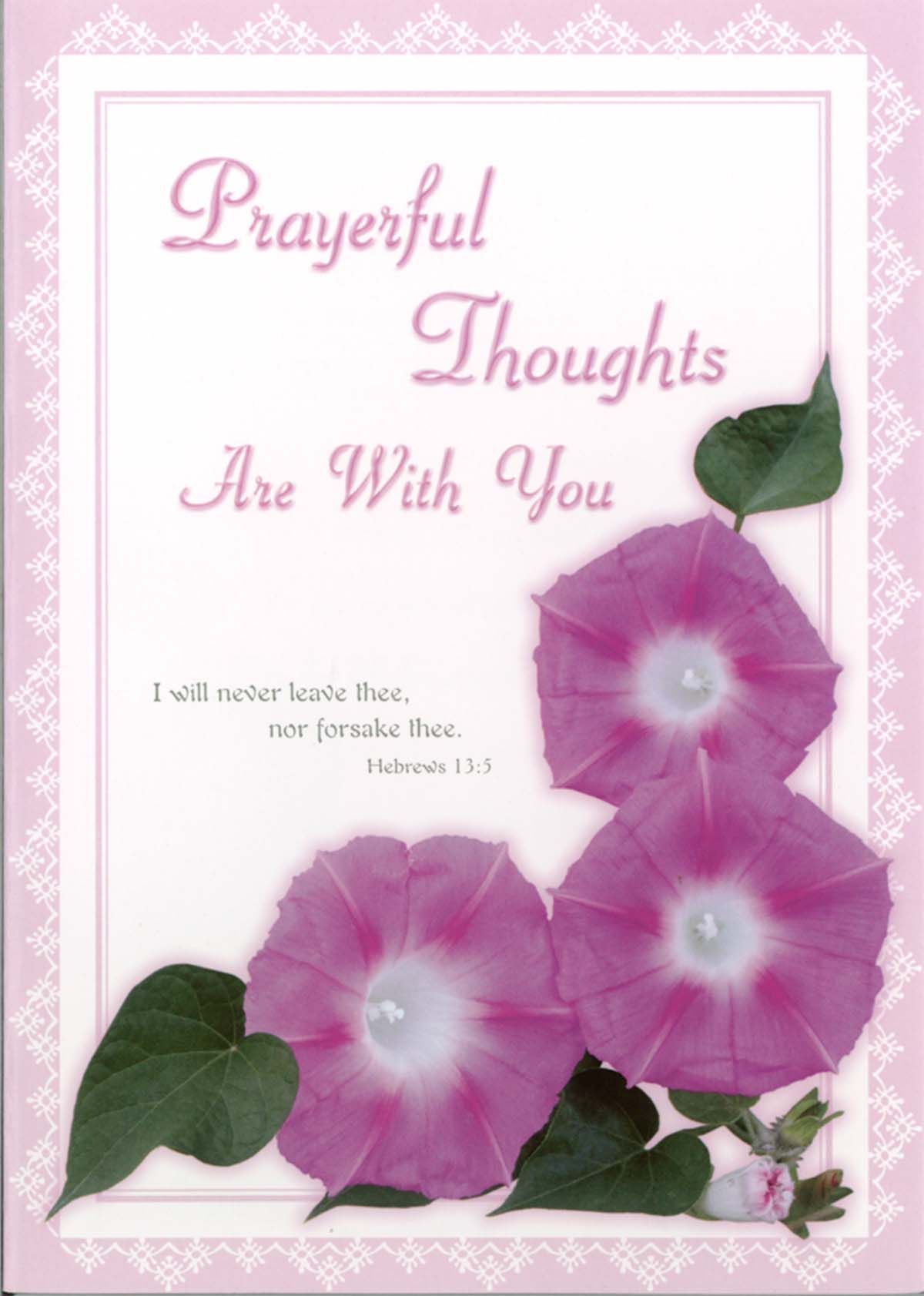 120-0561 Product Image 5