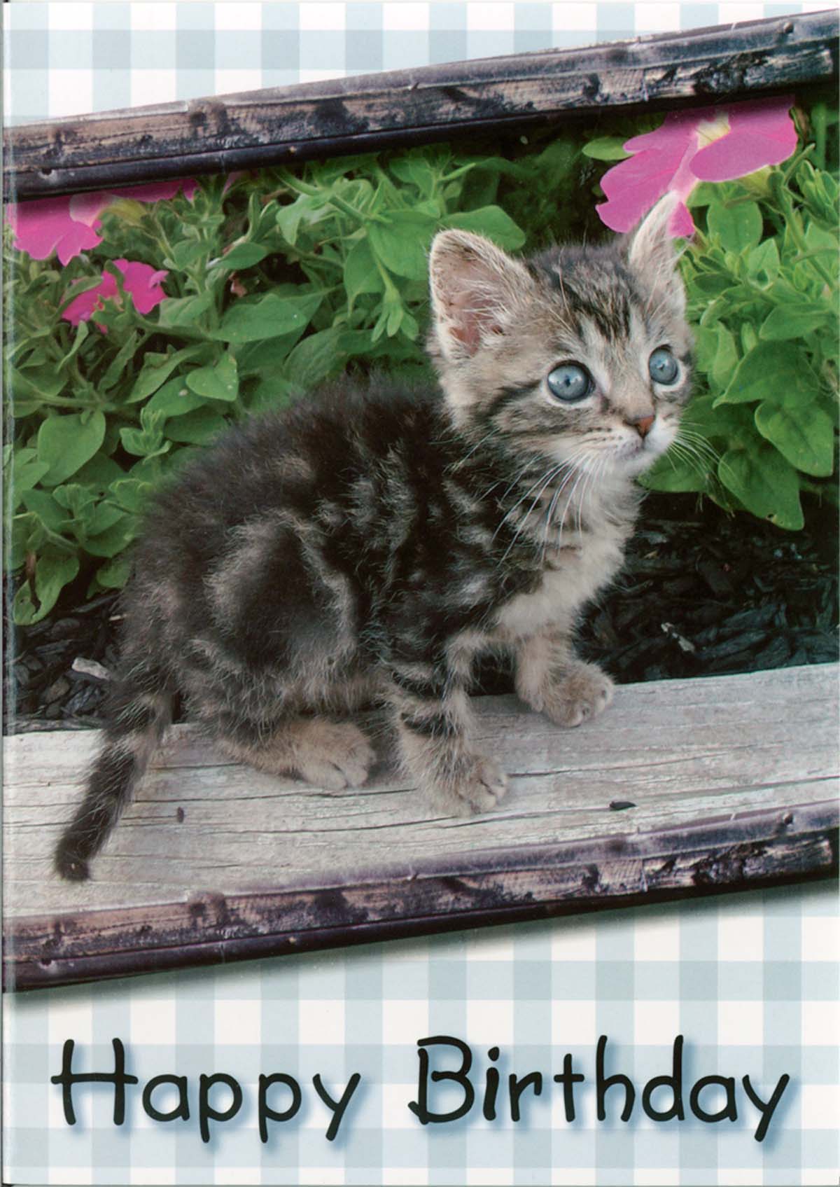 120-0639 Product Image 5