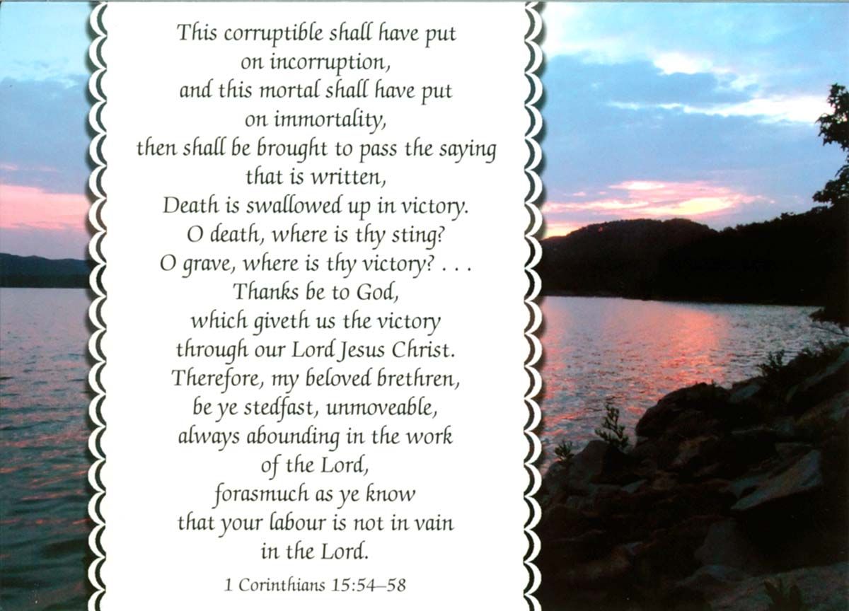 120-0740 Product Image 3