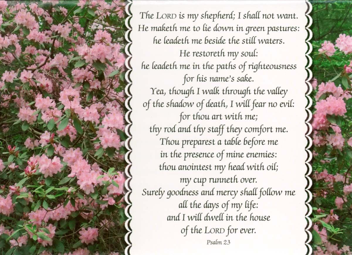 120-0740 Product Image 4