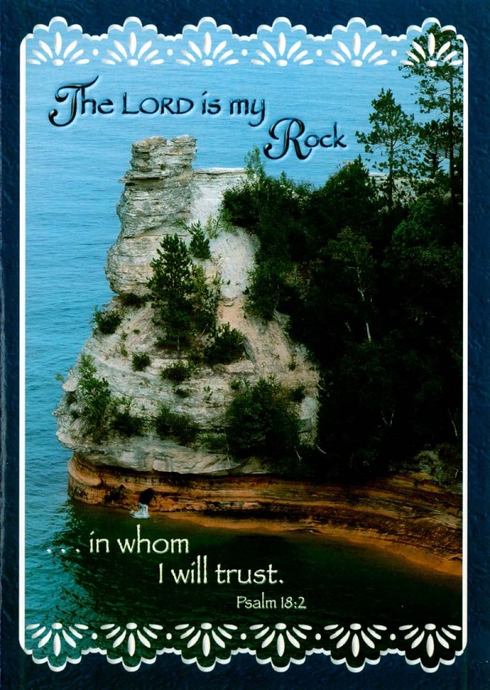 120-0749 Product Image 5