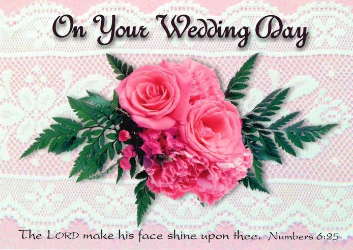 120-0754 Product Image 3