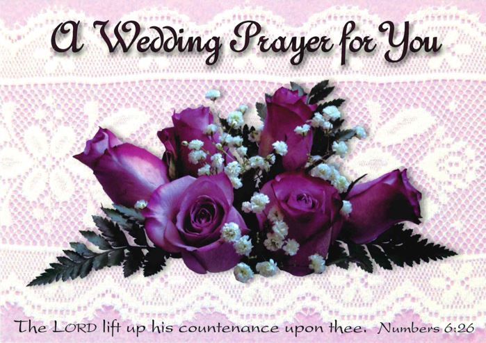 120-0754 Product Image 5