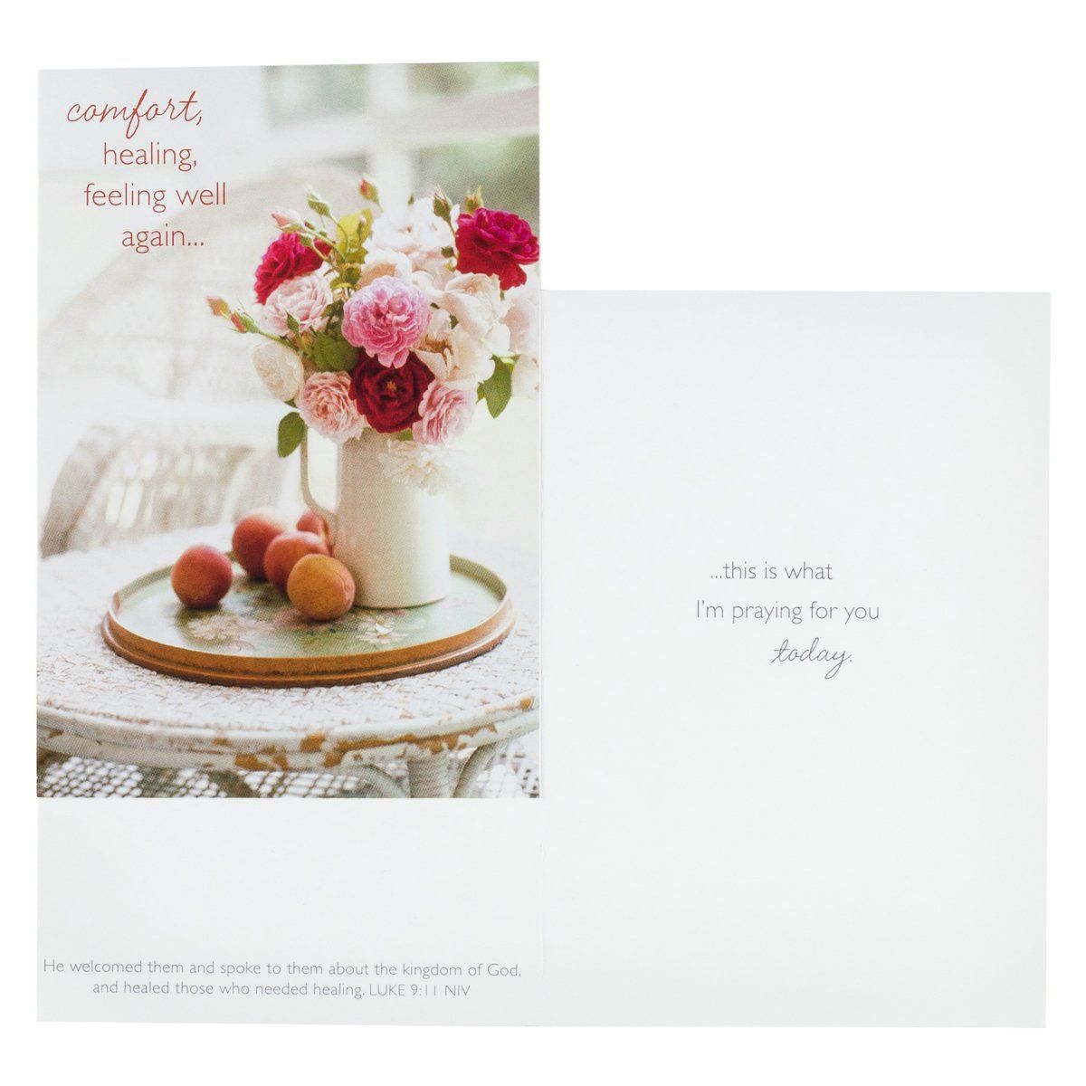 120-1074 Product Image 5