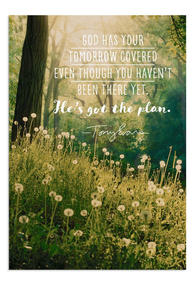 120-1148 Product Image 2