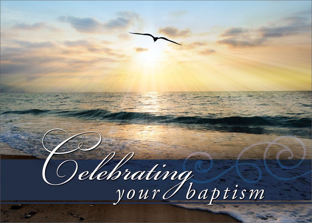 120-2280 Product Image 2