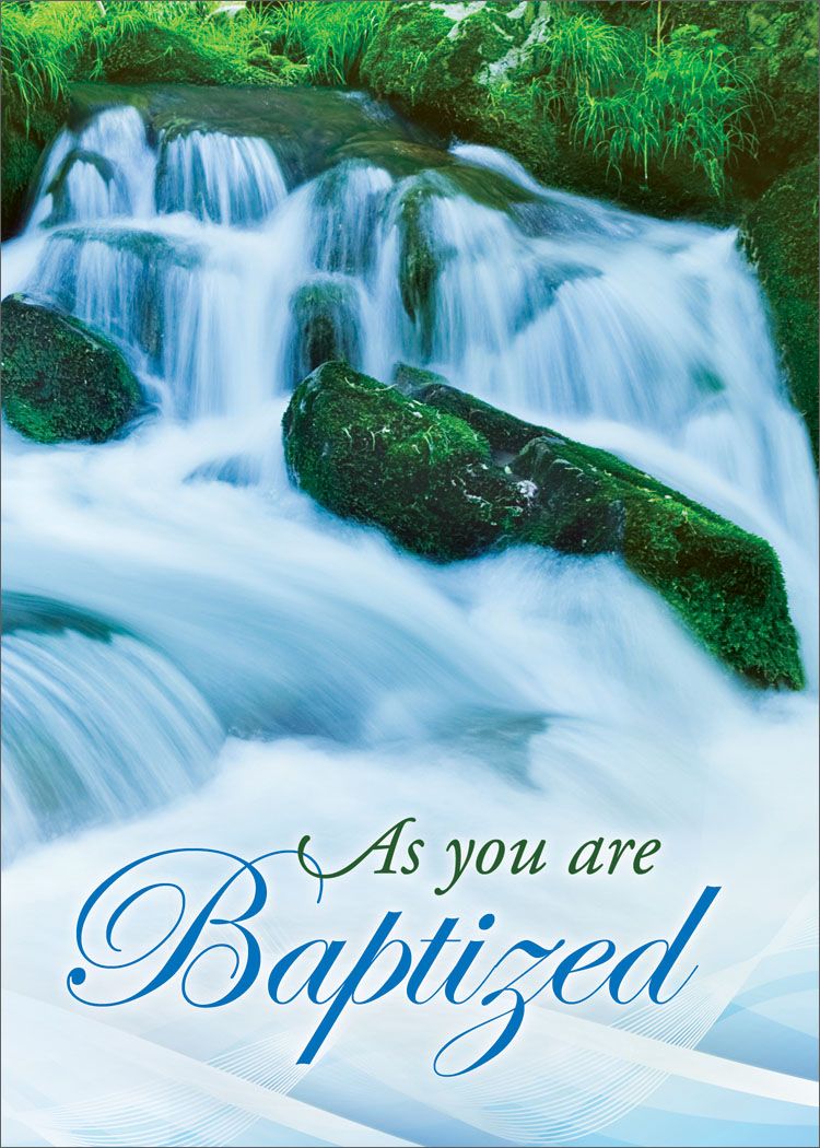 120-2280 Product Image 3