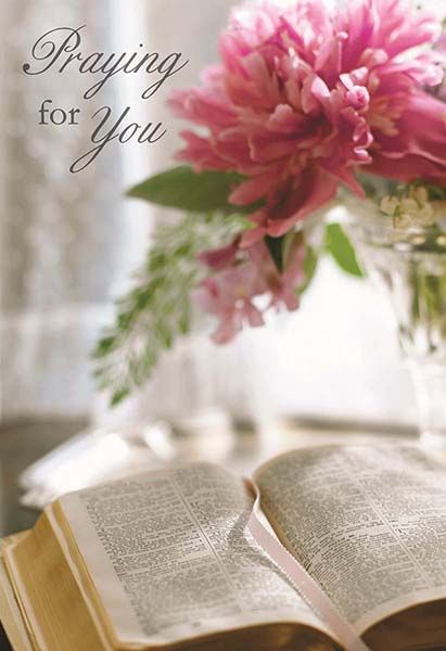 120-2410 Product Image 2