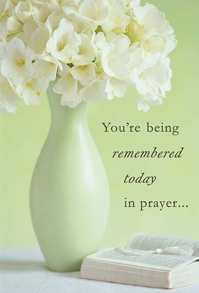 120-2410 Product Image 4