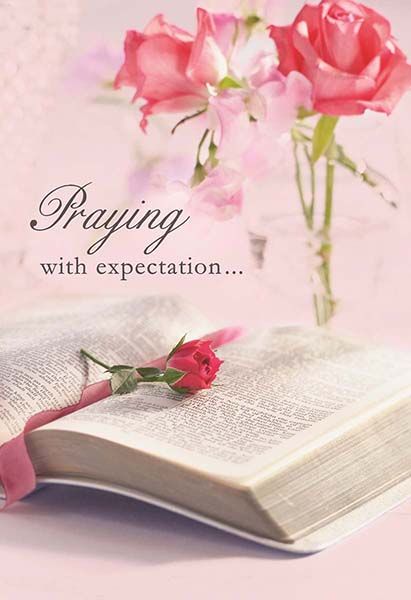 120-2410 Product Image 5