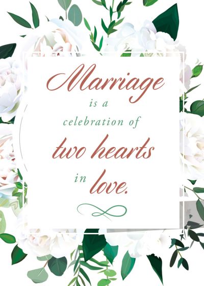 120-2721 Product Image 2