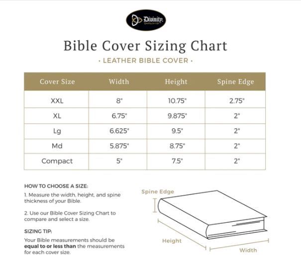 124-0004 Product Image 5