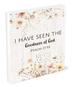 Image of Shelfie Sitter Goodness Of God 4×5