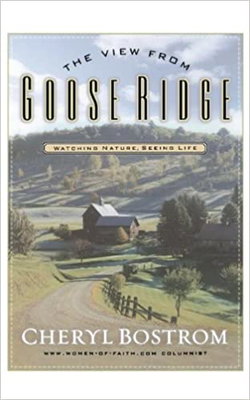 Image of The View from Goose Ridge