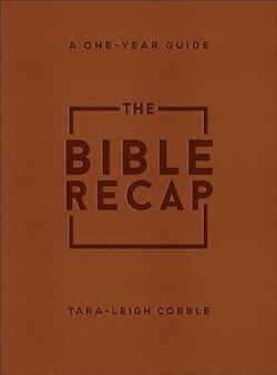 Image of The Bible Recap: Deluxe Edition Brown Imitation Leather