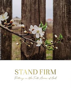 Image of Stand Firm: Putting on the Full Armor of God